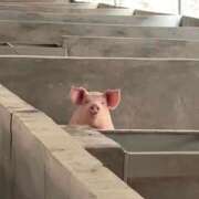 ヒメ日記 2025/05/03 00:53 投稿 体験なな ミセスコレクション