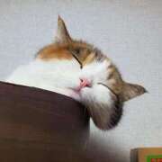 ヒメ日記 2025/05/04 02:03 投稿 体験なな ミセスコレクション