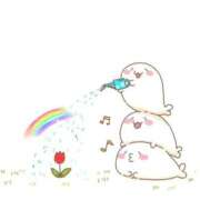 ヒメ日記 2025/05/04 02:13 投稿 体験なな ミセスコレクション