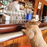 ヒメ日記 2025/05/06 20:13 投稿 体験なな ミセスコレクション