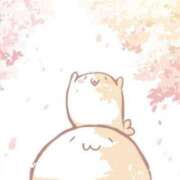 ヒメ日記 2025/05/07 08:13 投稿 体験なな ミセスコレクション