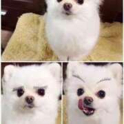 ヒメ日記 2025/05/08 23:43 投稿 体験なな ミセスコレクション