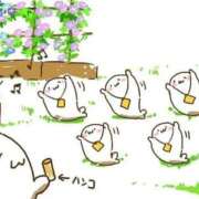 ヒメ日記 2025/05/09 08:13 投稿 体験なな ミセスコレクション