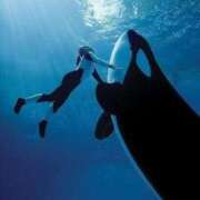 ヒメ日記 2025/05/09 20:23 投稿 体験なな ミセスコレクション