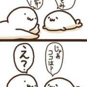 ヒメ日記 2025/05/12 08:03 投稿 体験なな ミセスコレクション