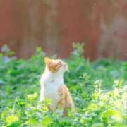 ヒメ日記 2025/05/12 20:44 投稿 体験なな ミセスコレクション