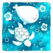 ヒメ日記 2025/05/13 00:33 投稿 体験なな ミセスコレクション