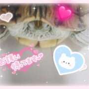 ヒメ日記 2025/05/14 00:31 投稿 体験なな ミセスコレクション