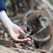 ヒメ日記 2025/05/14 12:05 投稿 体験なな ミセスコレクション