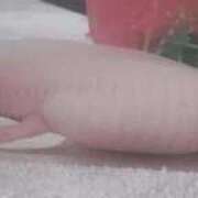 ヒメ日記 2025/05/14 21:33 投稿 体験なな ミセスコレクション