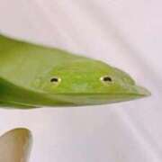 ヒメ日記 2025/05/15 02:03 投稿 体験なな ミセスコレクション