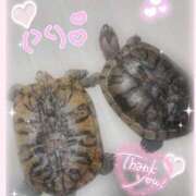 ヒメ日記 2025/05/15 22:43 投稿 体験なな ミセスコレクション