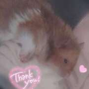 ヒメ日記 2025/05/18 18:23 投稿 体験なな ミセスコレクション