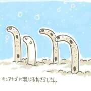 ヒメ日記 2025/05/20 01:13 投稿 体験なな ミセスコレクション
