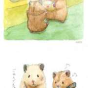 ヒメ日記 2025/05/22 12:05 投稿 体験なな ミセスコレクション