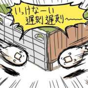 ヒメ日記 2025/05/23 08:13 投稿 体験なな ミセスコレクション