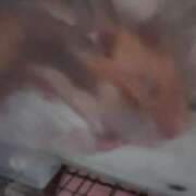 ヒメ日記 2025/05/25 01:05 投稿 体験なな ミセスコレクション