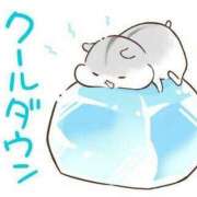 ヒメ日記 2025/05/27 12:04 投稿 体験なな ミセスコレクション