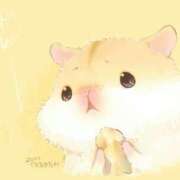 ヒメ日記 2025/05/28 08:03 投稿 体験なな ミセスコレクション