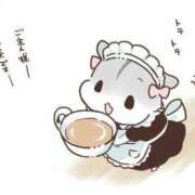 ヒメ日記 2025/05/29 00:33 投稿 体験なな ミセスコレクション