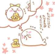 ヒメ日記 2025/05/29 01:03 投稿 体験なな ミセスコレクション