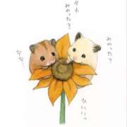 ヒメ日記 2025/05/29 08:13 投稿 体験なな ミセスコレクション