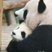 ヒメ日記 2025/05/29 17:43 投稿 体験なな ミセスコレクション