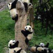 ヒメ日記 2025/05/30 08:13 投稿 体験なな ミセスコレクション