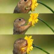 ヒメ日記 2025/05/31 08:03 投稿 体験なな ミセスコレクション