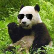 ヒメ日記 2025/05/31 23:43 投稿 体験なな ミセスコレクション