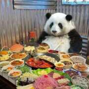 ヒメ日記 2025/06/01 01:13 投稿 体験なな ミセスコレクション