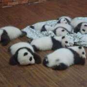 ヒメ日記 2025/06/01 01:33 投稿 体験なな ミセスコレクション