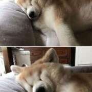 ヒメ日記 2025/06/01 08:13 投稿 体験なな ミセスコレクション