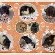 ヒメ日記 2025/06/02 08:13 投稿 体験なな ミセスコレクション