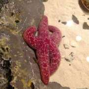 ヒメ日記 2025/06/02 12:04 投稿 体験なな ミセスコレクション