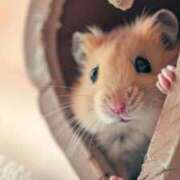 ヒメ日記 2025/06/02 21:03 投稿 体験なな ミセスコレクション