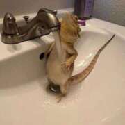 ヒメ日記 2025/06/03 01:43 投稿 体験なな ミセスコレクション