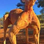 ヒメ日記 2025/06/03 12:13 投稿 体験なな ミセスコレクション