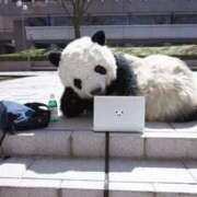 ヒメ日記 2025/06/03 19:43 投稿 体験なな ミセスコレクション