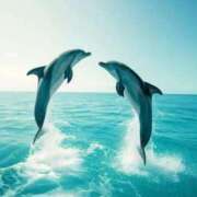 ヒメ日記 2025/06/03 21:03 投稿 体験なな ミセスコレクション