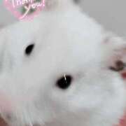 ヒメ日記 2025/06/05 12:15 投稿 体験なな ミセスコレクション