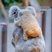 ヒメ日記 2025/06/05 22:33 投稿 体験なな ミセスコレクション