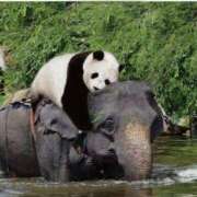 ヒメ日記 2025/06/06 08:13 投稿 体験なな ミセスコレクション