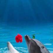 ヒメ日記 2025/06/06 12:06 投稿 体験なな ミセスコレクション