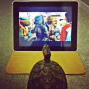 ヒメ日記 2025/06/07 00:43 投稿 体験なな ミセスコレクション