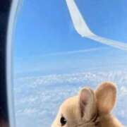 ヒメ日記 2025/06/08 01:03 投稿 体験なな ミセスコレクション