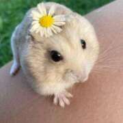 ヒメ日記 2025/06/08 08:13 投稿 体験なな ミセスコレクション