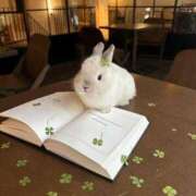 ヒメ日記 2025/06/09 12:04 投稿 体験なな ミセスコレクション