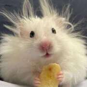 ヒメ日記 2025/06/09 20:13 投稿 体験なな ミセスコレクション