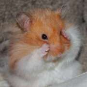 ヒメ日記 2025/06/10 08:13 投稿 体験なな ミセスコレクション